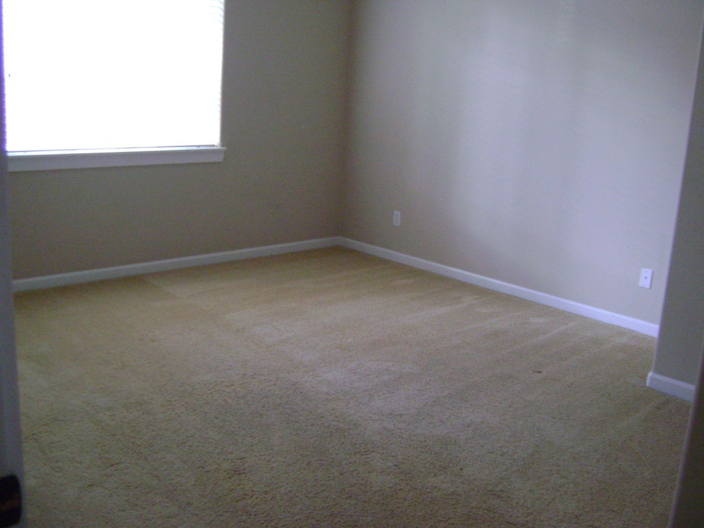Beautiful 3 bedroom, 3 bathroom, one story single family home in quiet neighborhood - Available in November property image