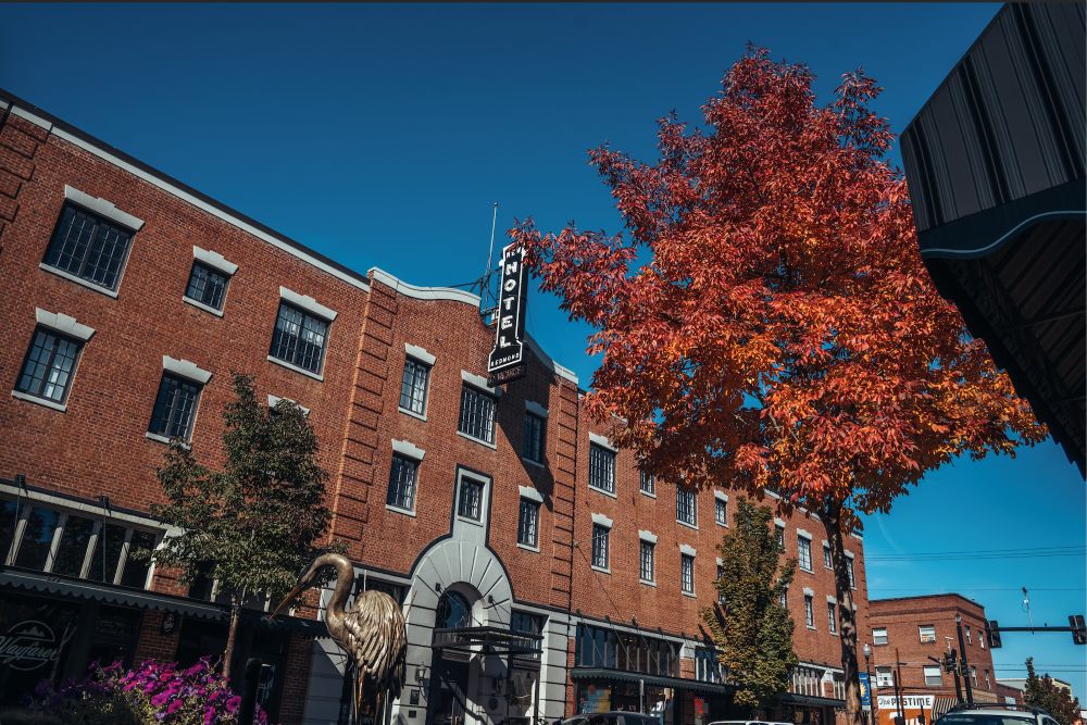 Redmond Property Maintenance